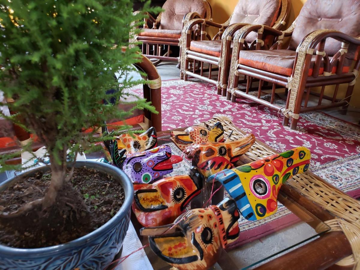 Bed and Breakfast Parrot House Антигуа-Гватемала Экстерьер фото