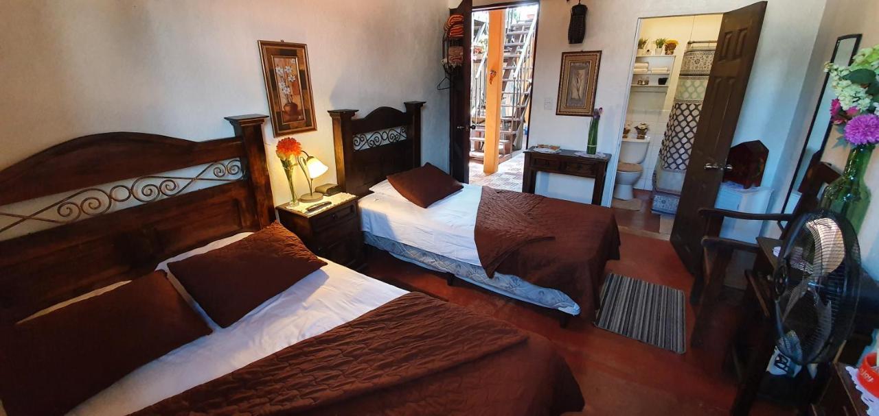 Bed and Breakfast Parrot House Антигуа-Гватемала Экстерьер фото